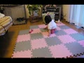 動画:はいはいのはじまり