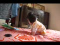 動画:おすわりマスター