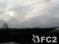 動画:明け方の空と鳥のさえずり