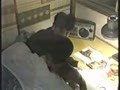 アダルト動画:竹下景子 全裸で男の布団に入る